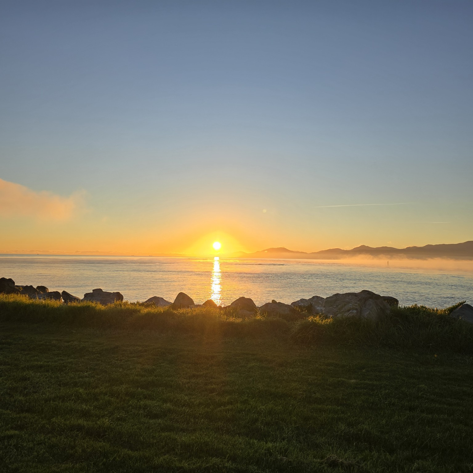 Sunrise burning gold over a still sea, seen across a rocky grass foreshore