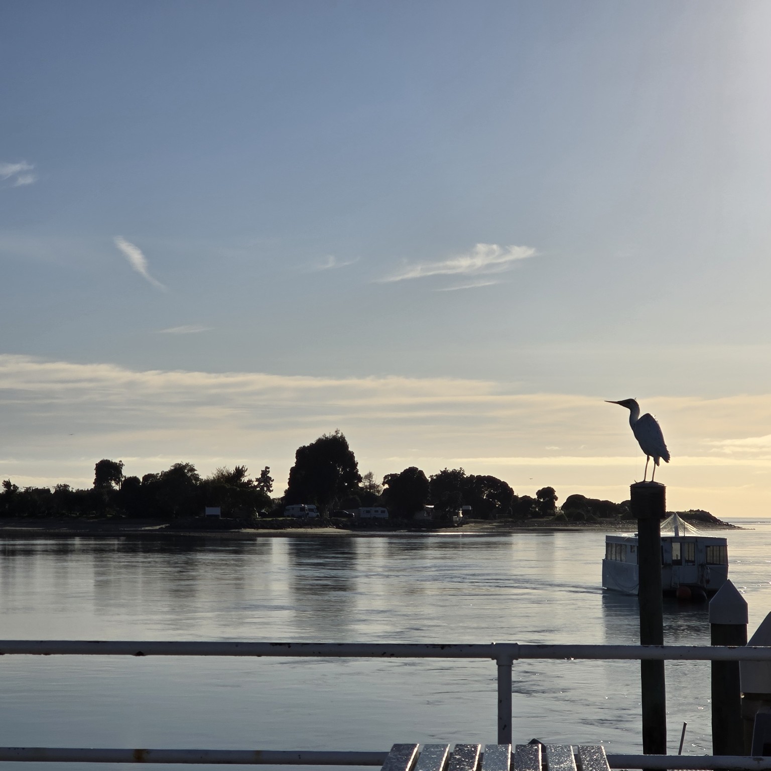 A white heron resting on a wharf pile above a silver estuary at first light