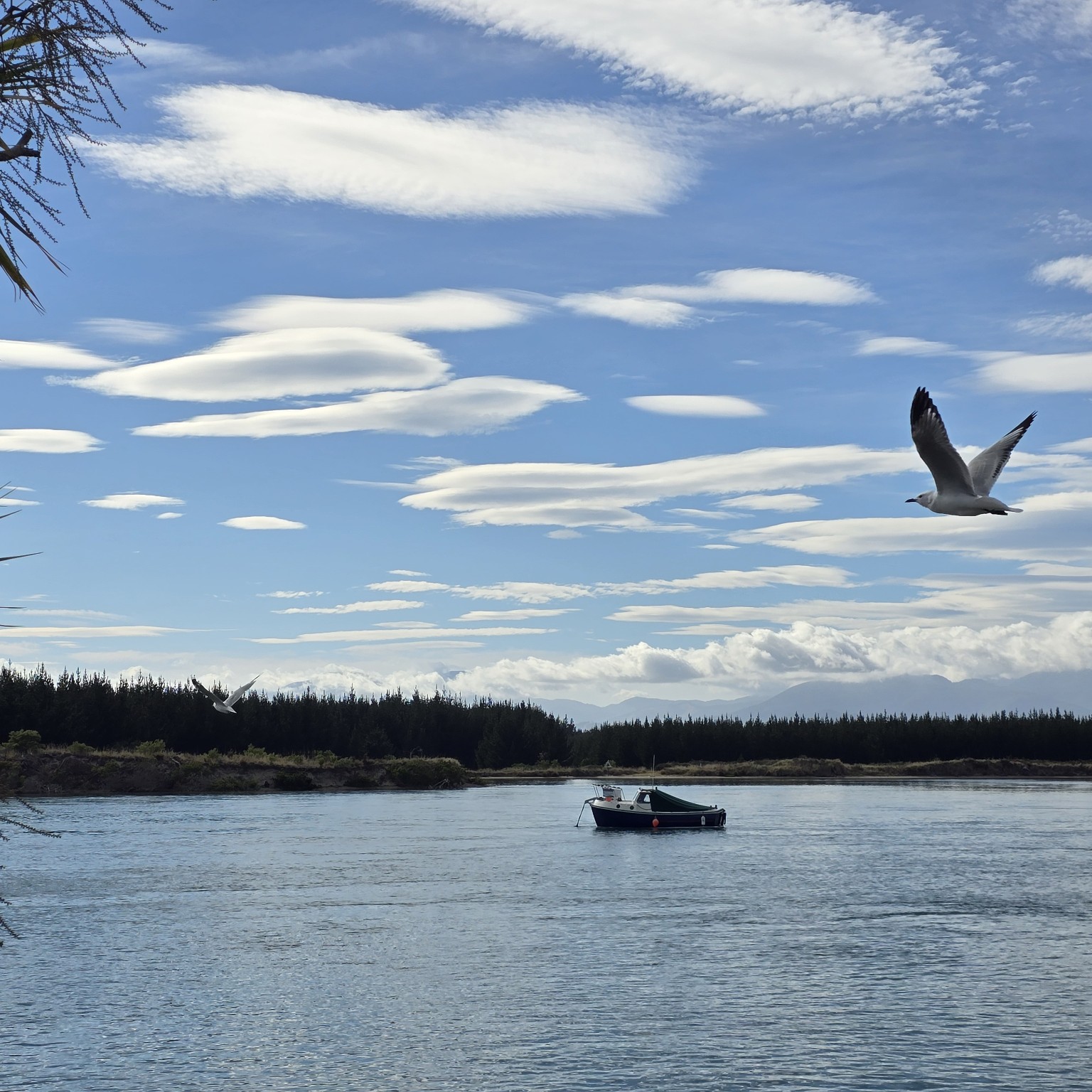 A small boat resting on calm water beneath a sky of lenticular cloud